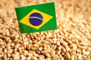 grãos de trigo com bandeira do brasil, exportação comercial e conceito de economia. foto