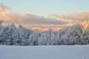 bela paisagem de inverno foto