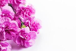 buquê de flores de primavera suave rosa em fundo branco foto
