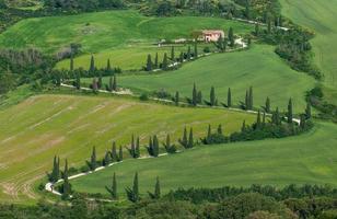 paisagem típica da Toscana foto