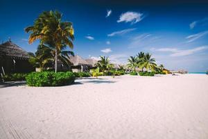 casas de palha em uma praia com flora tropical nas maldivas foto