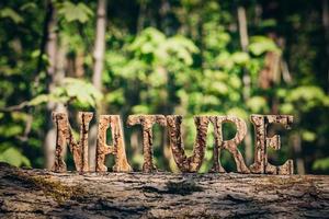 escrita da natureza feita de letras de madeira na floresta foto