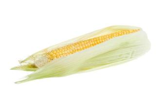 espiga de milho crua fresca isolada no branco foto