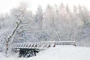 cenário de inverno. floresta de conto de fadas, ponte, árvores nevadas foto