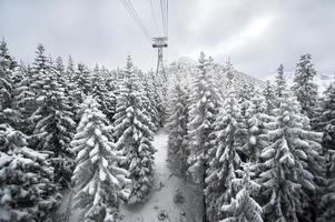 caminho coberto de neve durante o inverno foto