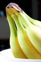 close-up de um cacho de bananas