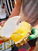 comerciante de casca de durião para mostrar a polpa do durião que está madura, amarela dourada, pronta para comer. o rei das frutas da tailândia popular no verão foto