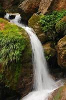 cachoeira de água doce pura correndo sobre rochas cobertas de musgo foto