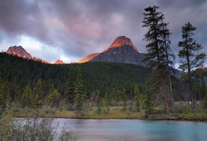 Lago de aves aquáticas, Parque Nacional de Banff, Icefield Parkway, Alberta, Canadá foto