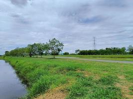 cenário estrada natureza grama céu cênico foto