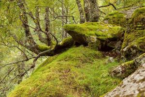 cenas coloridas de montanha na noruega. bela paisagem da noruega, escandinávia. paisagem montanhosa da noruega. natureza no verão. foto