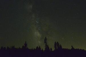 estrelas sobre uma linha de árvores foto