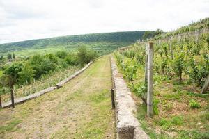 a vila de stroiesti é uma cidade rural muito pitoresca na república da moldávia, localizada nas margens do rio dniester foto