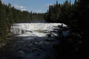 cachoeiras cercadas por árvores, Canadá foto