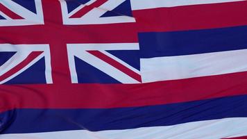 bandeira do estado do havaí, região dos estados unidos, balançando ao vento. renderização em 3D foto