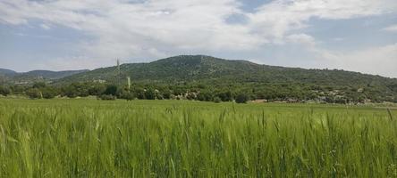 paisagem vista para a montanha grama rochas e outros foto