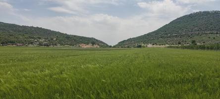 paisagem vista para a montanha grama rochas e outros foto