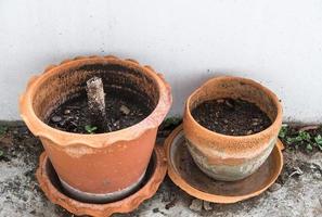 pote de barro gêmeo com o solo para plantar árvores. foto