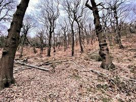 uma vista da zona rural de cheshire em peckforton hills foto