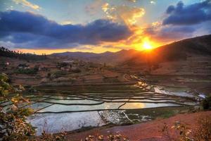 pôr do sol do campo de arroz foto
