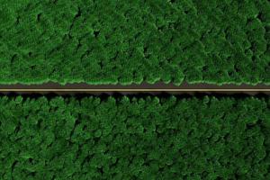 vista aérea de uma estrada reta em uma densa floresta verde, paisagem aérea. foto