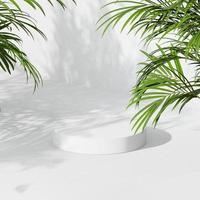 renderização em 3D simula o pódio de verão para design de produto, exibição mínima. sobreposição de sombra. foto