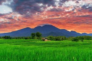 cenário asiático quando o sol da manhã é lindo sobre as montanhas e campos de arroz verde na vila de kemumu, bengkulu, indonésia foto