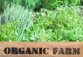 produtos orgânicos frescos em caixa de madeira foto
