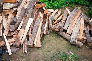 lenhas eram cortadas de toras e colocadas no chão com folhas verdes ao lado, prontas para serem queimadas e usadas em seguida. foto