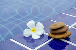 flores de plumeria em um piso de ladrilho foto