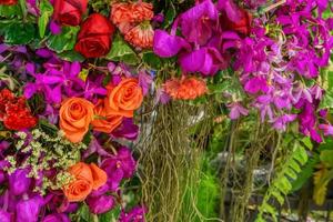 as flores são lindas e refrescantes foto