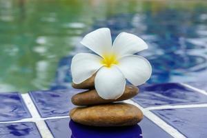 flores de plumeria em um piso de ladrilho foto