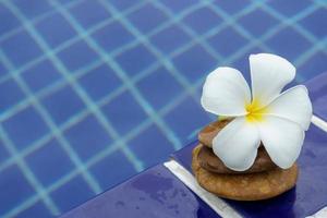 flores de plumeria em um piso de ladrilho foto