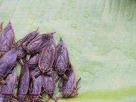 cafetão frito em folha de bananeira para venda no mercado foto