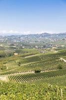 paisagem panorâmica na região de Piemonte, Itália. colina cênica da vinha perto da cidade de barolo. foto