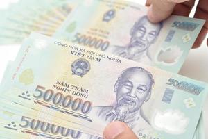 Vietnã de dinheiro (dong)