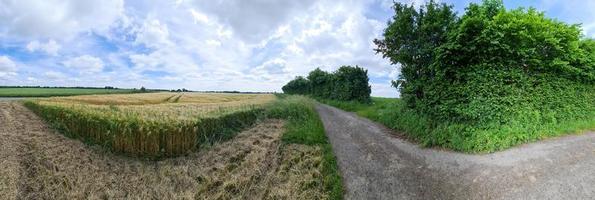 belo panorama de alta resolução de uma paisagem de país do norte da Europa com campos e grama verde foto