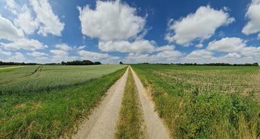 belo panorama de alta resolução de uma paisagem de país do norte da Europa com campos e grama verde foto