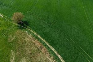 uma visão de drone dos belos prados verdes jovens foto