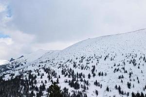 a natureza da Sibéria. montanhas sayan foto