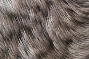 fundo de textura de lã animal lobo selvagem foto