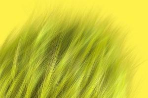 textura de fluxo de cabelo abstrata na cor limão. fundo de penteado elegante. renderização 3d na moda foto
