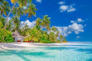 bela praia tropical com areia branca, palmeiras, oceano turquesa contra o céu azul com nuvens em dia ensolarado de verão. fundo de paisagem perfeita para férias relaxantes, ilha das maldivas. foto