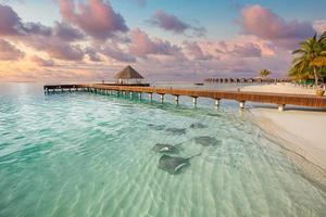fantástica costa da praia do pôr do sol, águas rasas com arraias e tubarões nas ilhas maldivas. hotel resort de luxo, cais de madeira, villa sobre a água, bangalô. viagem incrível, vida selvagem de paisagem de férias