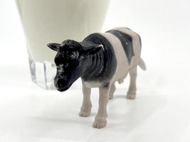 vaca e leite para o dia mundial do leite photo foto