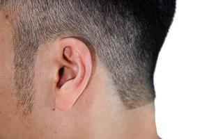orelhas masculinas asiáticas close-up no fundo branco foto