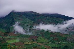 nevoeiro sobre as montanhas. no tempo chuvoso na zona rural. cheio de árvores verdes e bela natureza. foto grátis