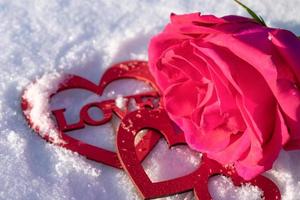 uma rosa exuberante na neve com uma bela mensagem de amor como um sinal de dia dos namorados ou 8 de março foto