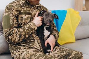 um soldado ucraniano em uniforme militar está sentado em um sofá com seu fiel amigo, um cão amstaff, na bandeira amarela e azul de fundo.