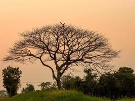 belo pôr do sol sobre o campo foto